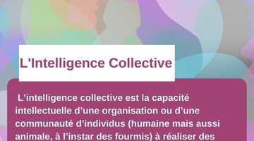 L’Intelligence Collective